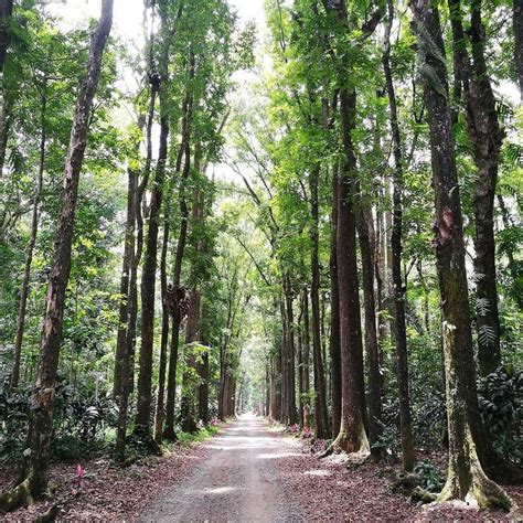 CEDAR, Impasugong, Bukidnon .